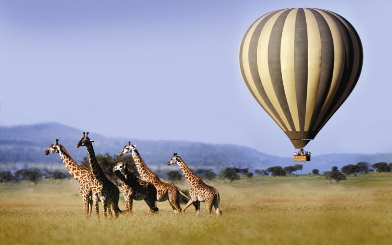 8 Days Nakuru, Masai Mara, Serengeti, Ngorongoro & Amboseli Safari