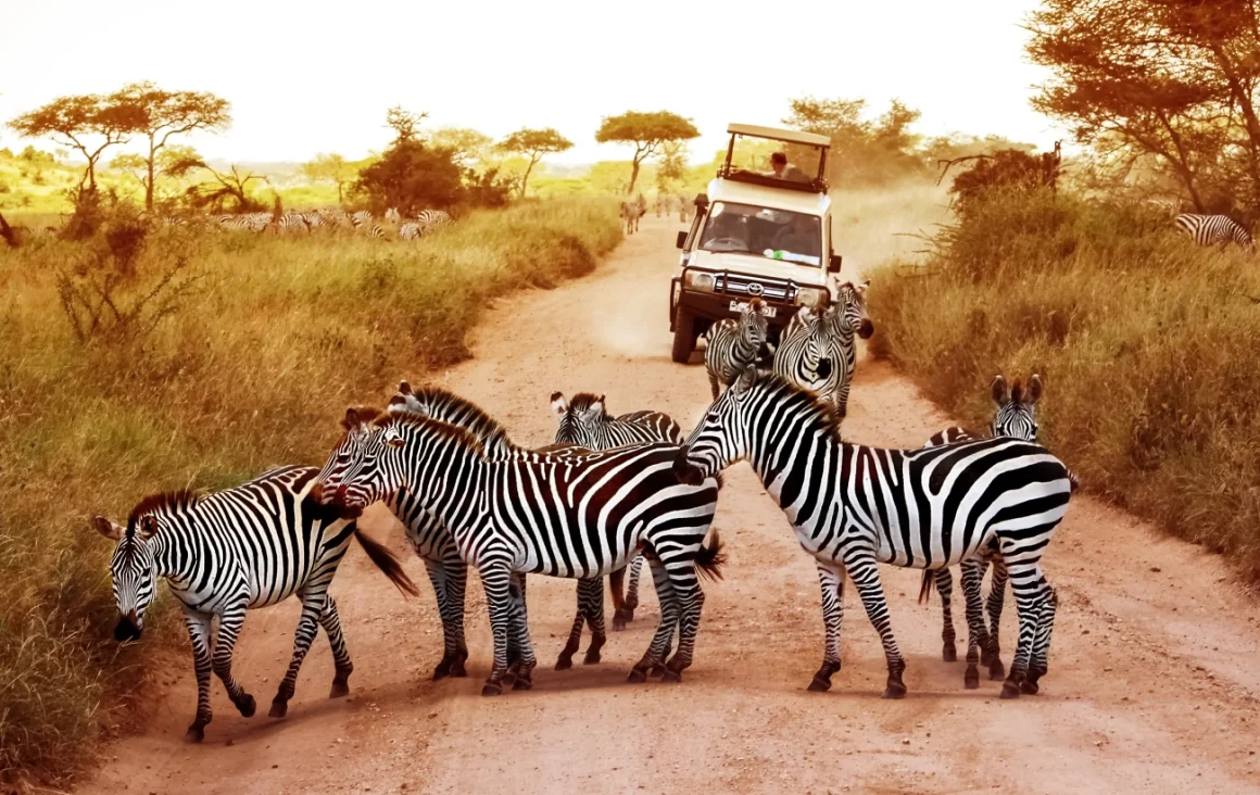 10 Days, 9 Nights Best of Kenya & Tanzania Lodge Safaris 10 Days, 9 Nights Best of Kenya & Tanzania Lodge Safaris